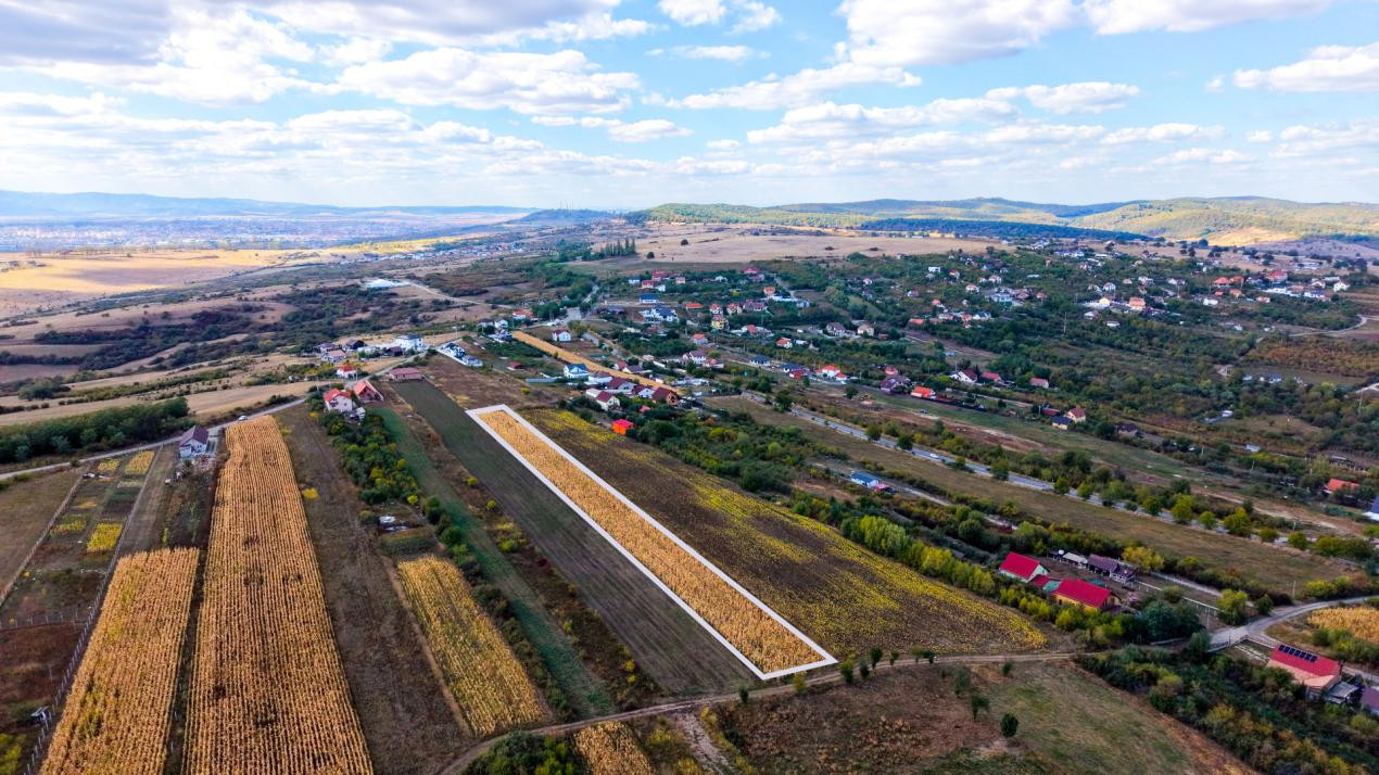 Teren extravilan  arabil 5.000 mp, acces din două drumuri – Daia