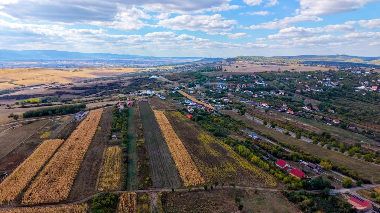 Teren extravilan  arabil 5.000 mp, acces din două drumuri – Daia