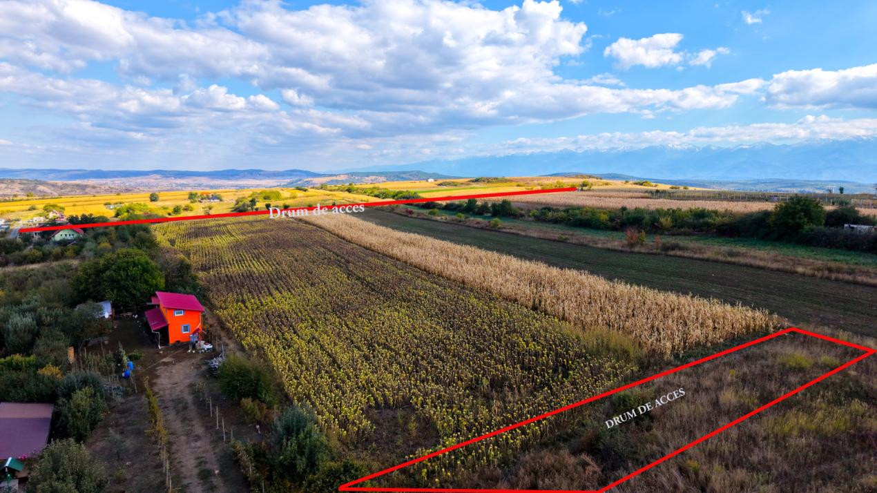 Teren extravilan  arabil 5.000 mp, acces din două drumuri – Daia
