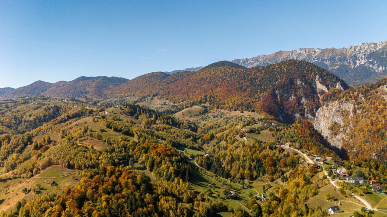 Casa Galbenă din Măgura – Un loc în care timpul curge altfel