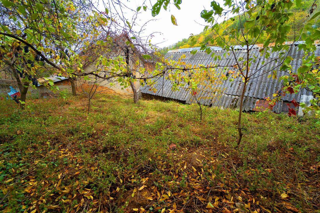 Casă de renovat în Tălmăcel – investiție
