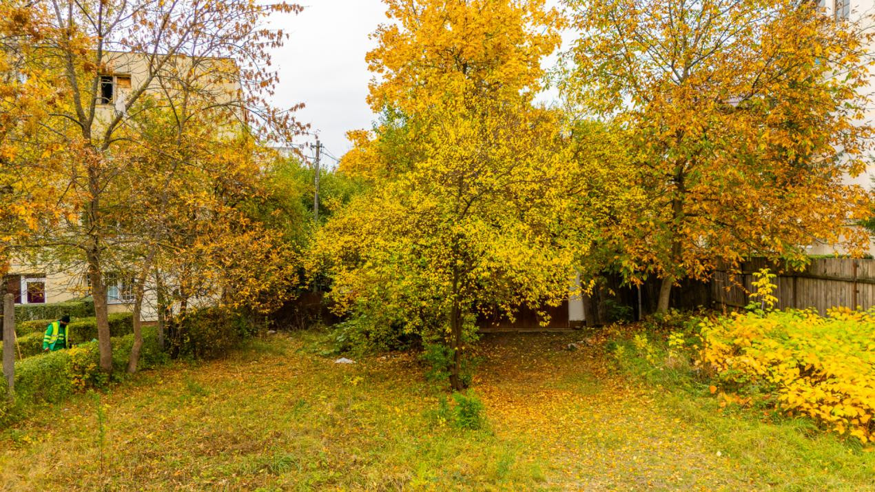 Casă cu teren de 500 mp, zona Noua
