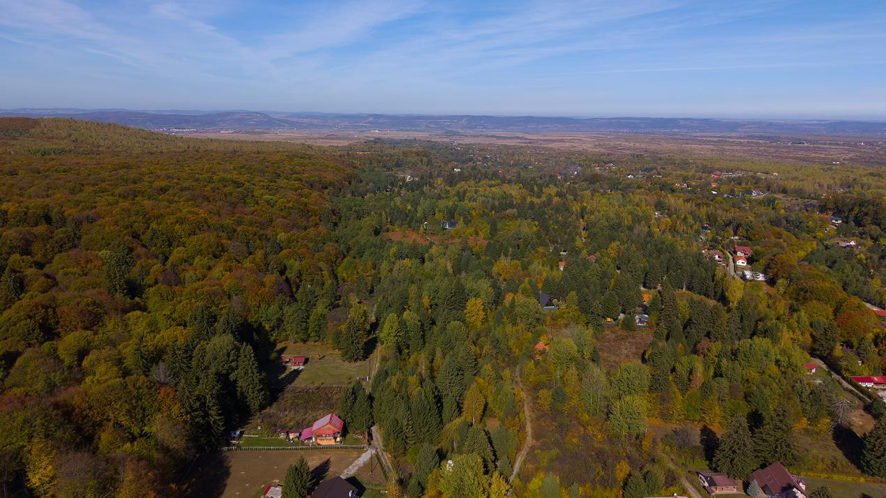 Teren intravilan Valea Avrigului 