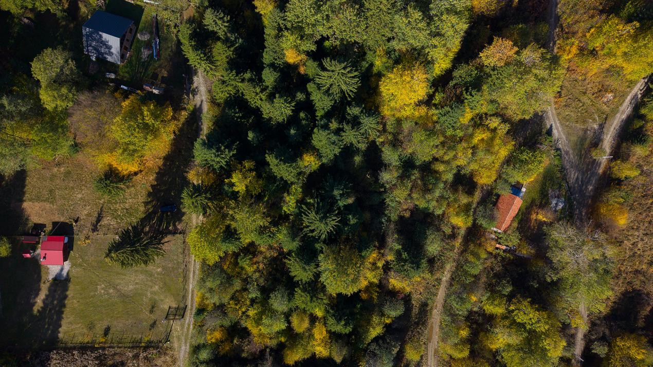 Teren intravilan Valea Avrigului 