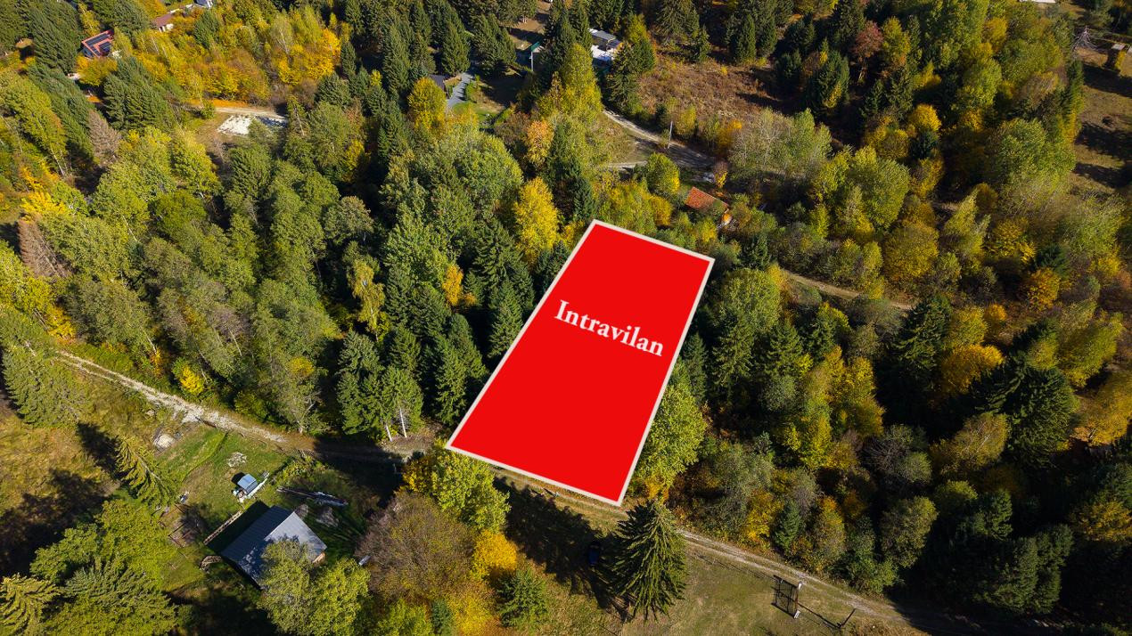 Teren intravilan Valea Avrigului 