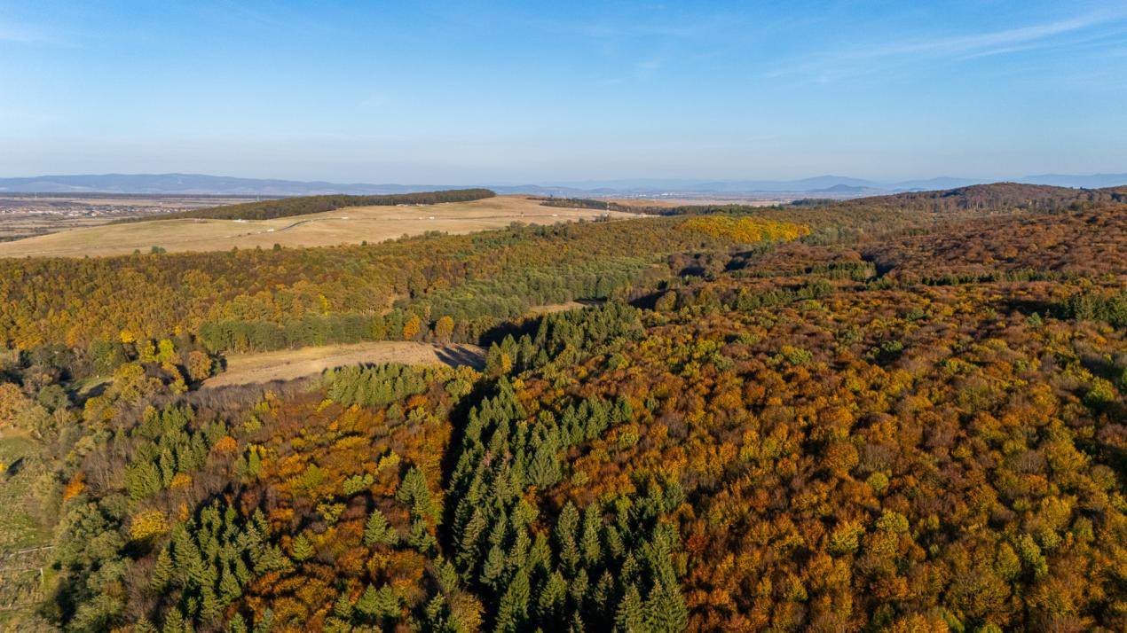 OPORTUNITATE DE INVESTIȚIE | TEREN INTRAVILAN PARCELABIL | CODLEA – ZONA GEAMĂNA