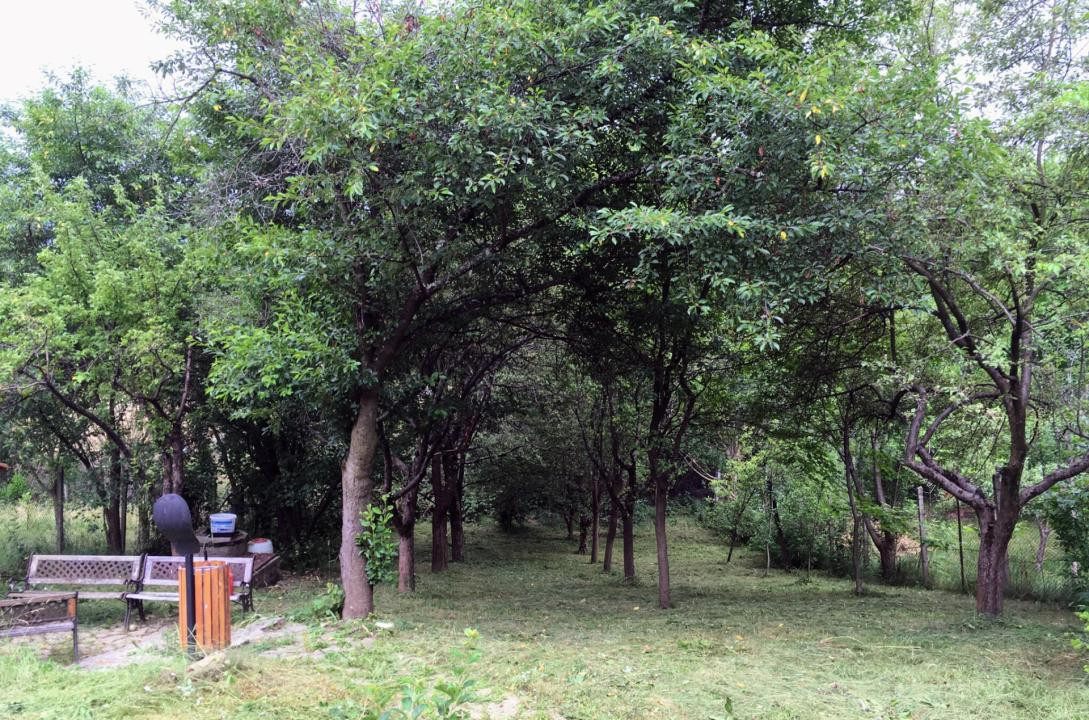 Cabana  – Sibiu, zona Tropinii Noi