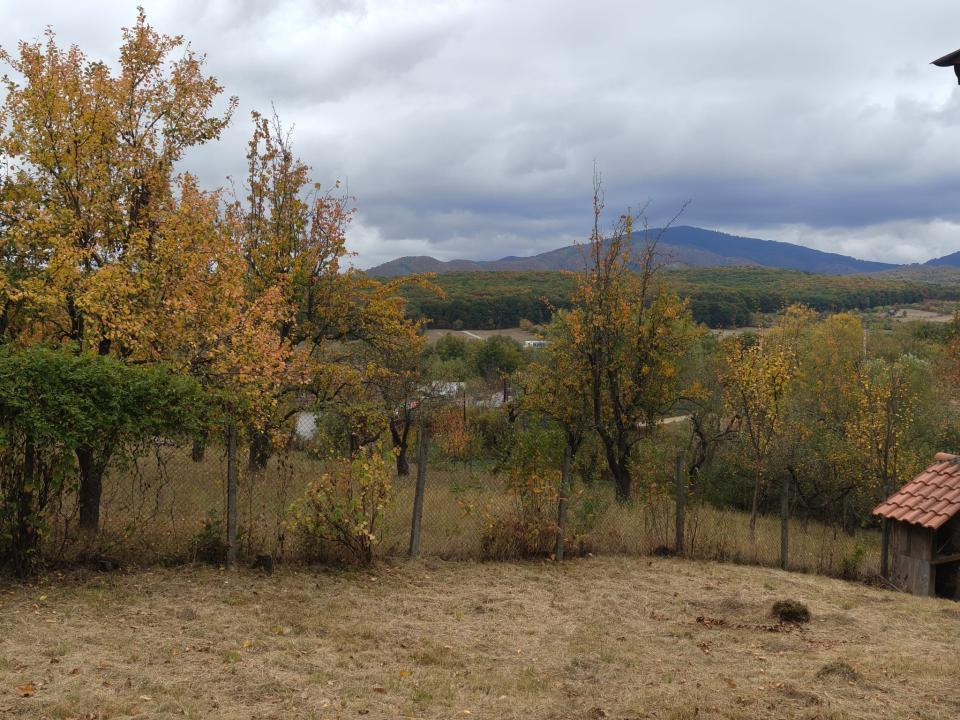 Cabana  – Sibiu, zona Tropinii Noi