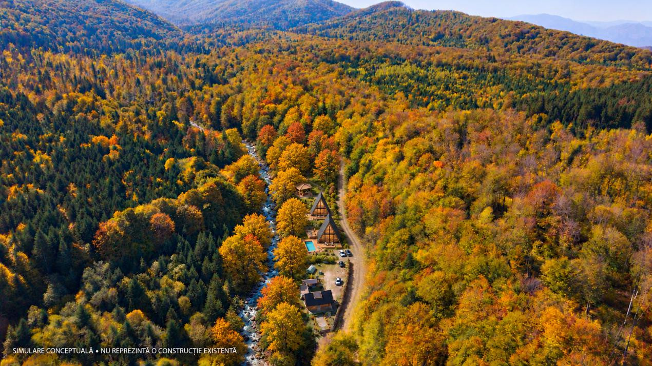 Teren 2.000 mp în Valea Avrigului Pădure, apă curgătoare și liniște