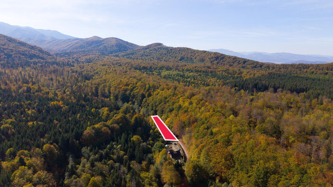 Teren 2.000 mp în Valea Avrigului Pădure, apă curgătoare și liniște