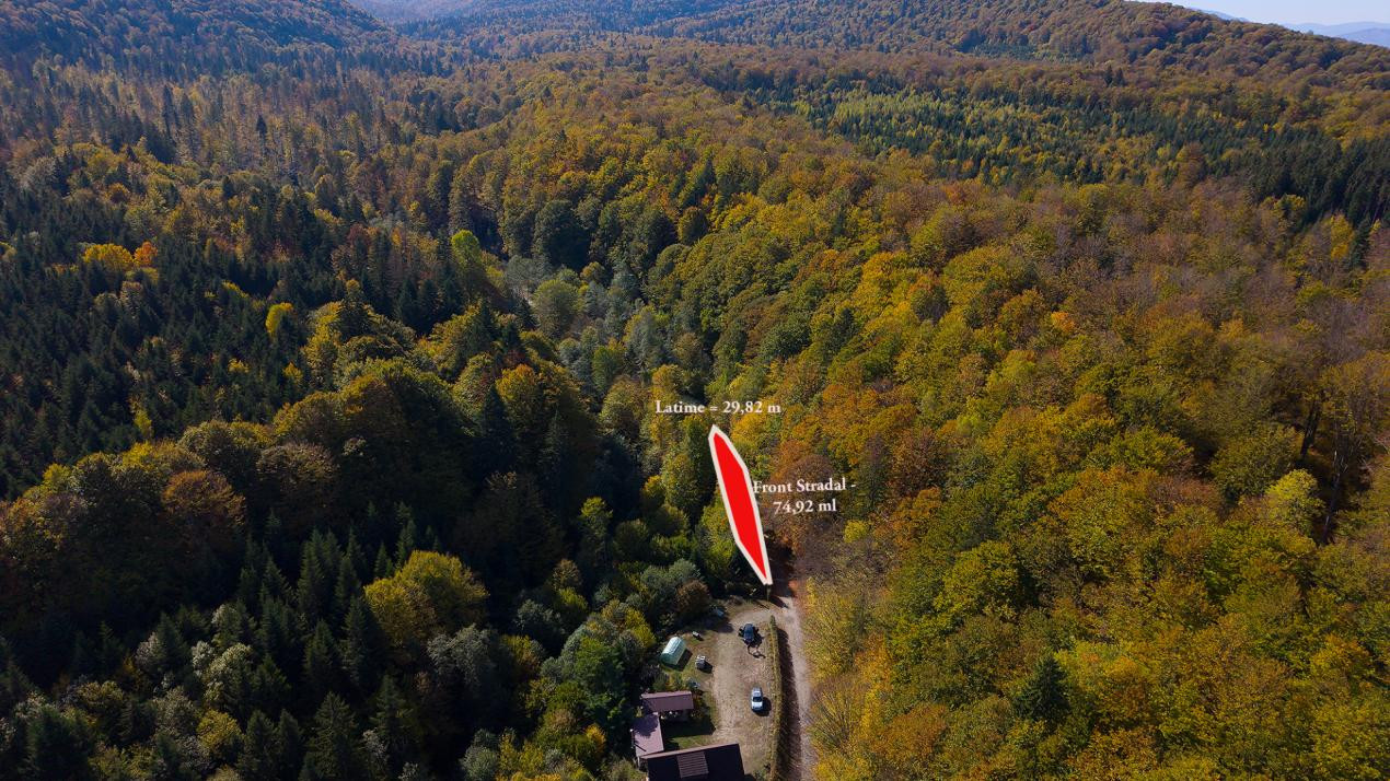 Teren 2.000 mp în Valea Avrigului Pădure, apă curgătoare și liniște