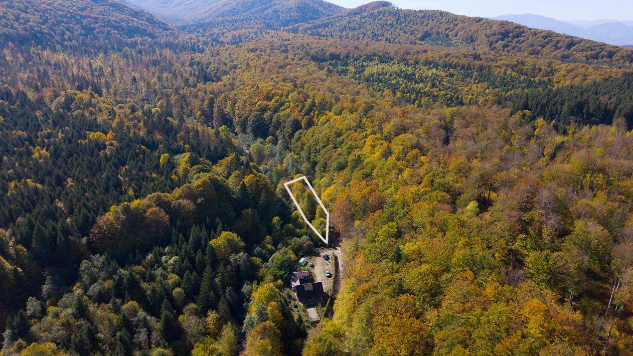 Teren 2.000 mp în Valea Avrigului Pădure, apă curgătoare și liniște