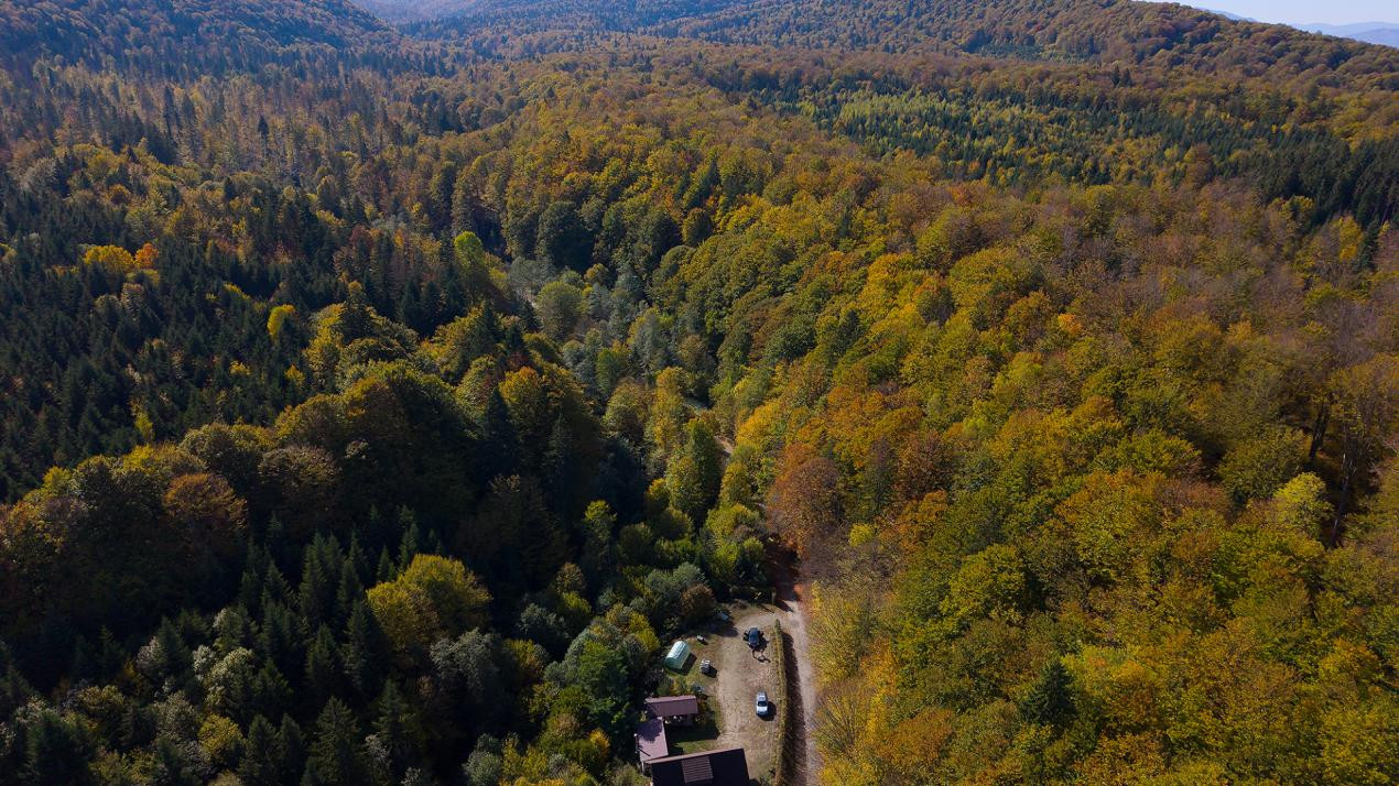 Teren 2.000 mp în Valea Avrigului Pădure, apă curgătoare și liniște