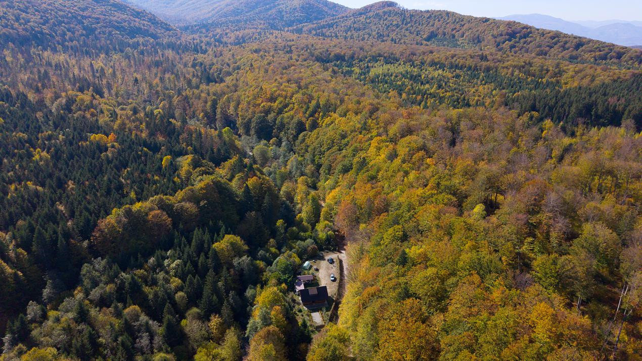 Teren 2.000 mp în Valea Avrigului Pădure, apă curgătoare și liniște