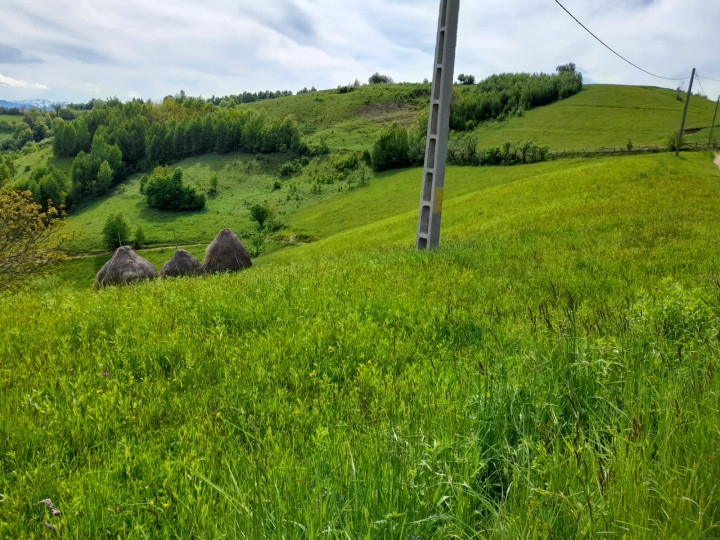 Teren 16469 mp extravilan arabil  Poiana Marului zona Vulcanita