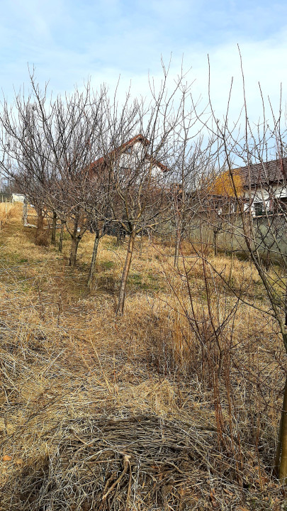 Teren intravilan, priveliste panoramica, zona rezidentiala