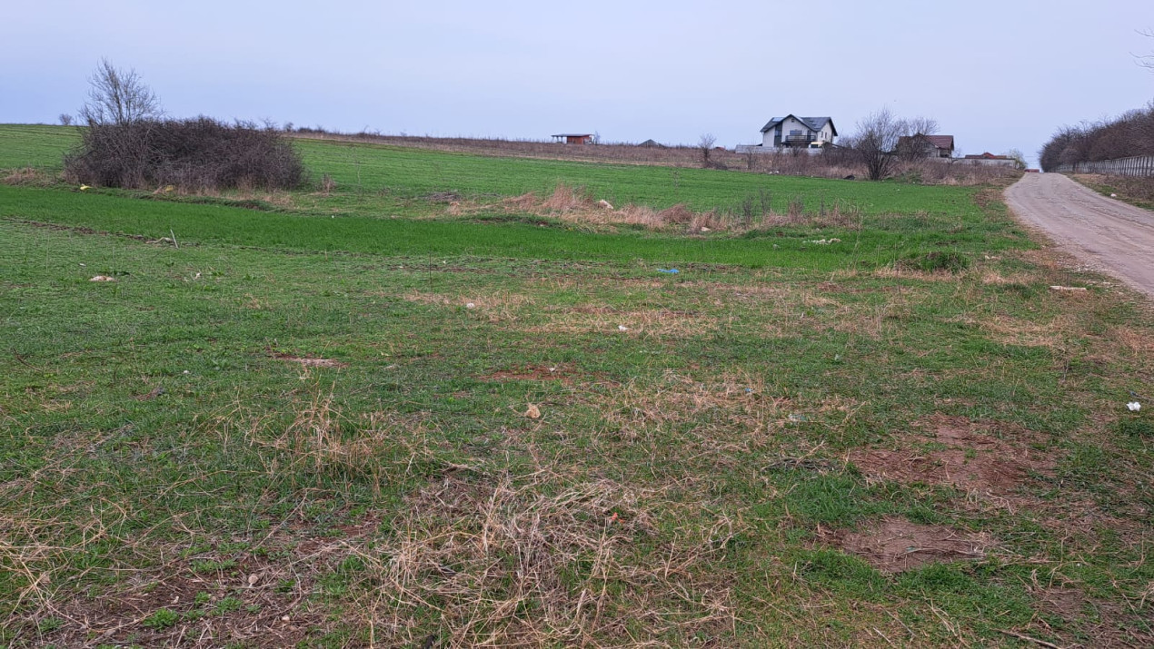 Teren intravilan 1000 mp, Carcea