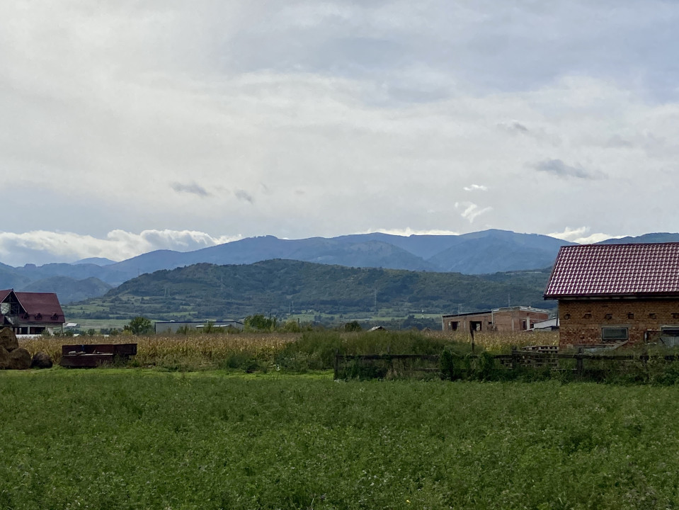 Ansamblu de case Verdi-Tălmaciu- predare la gri