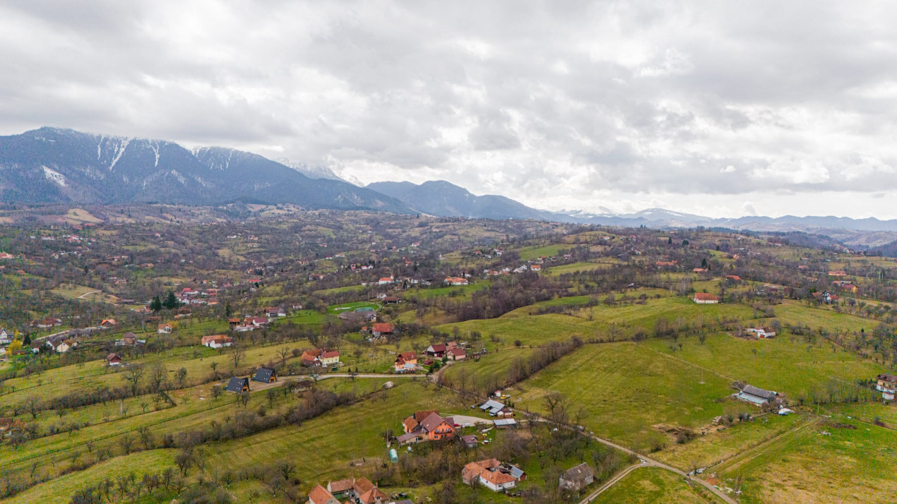 Teren intravilan, ambianta de vis - Tohanu Nou, Sohodol