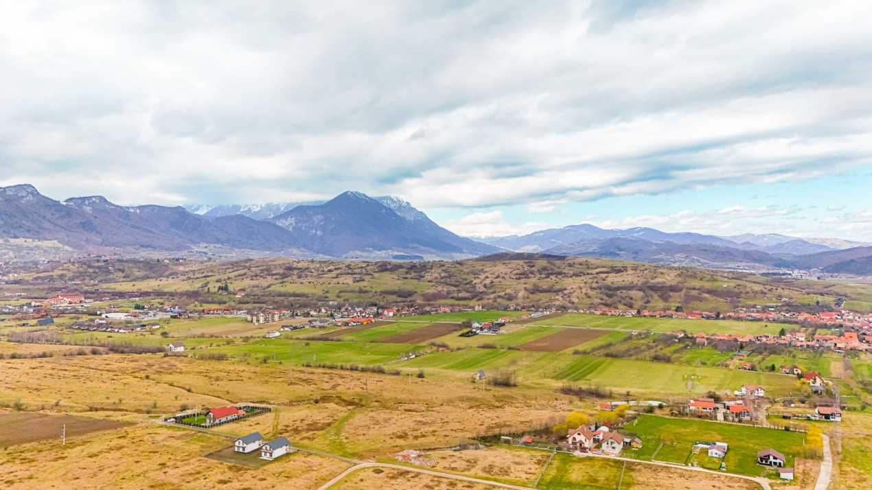 Teren intravilan, ambianta de vis - Tohanu Nou, Sohodol