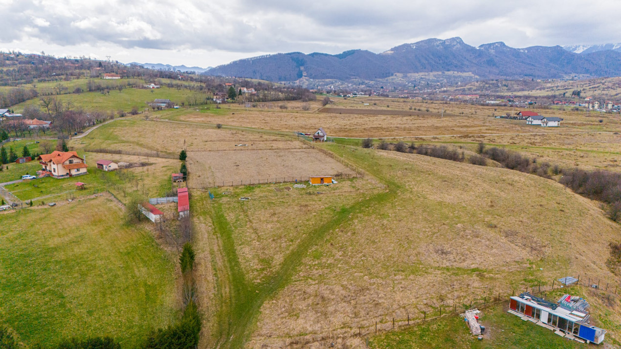 Teren Intravilan, zona turistica - Bran, Tohanu Nou, Sohodol