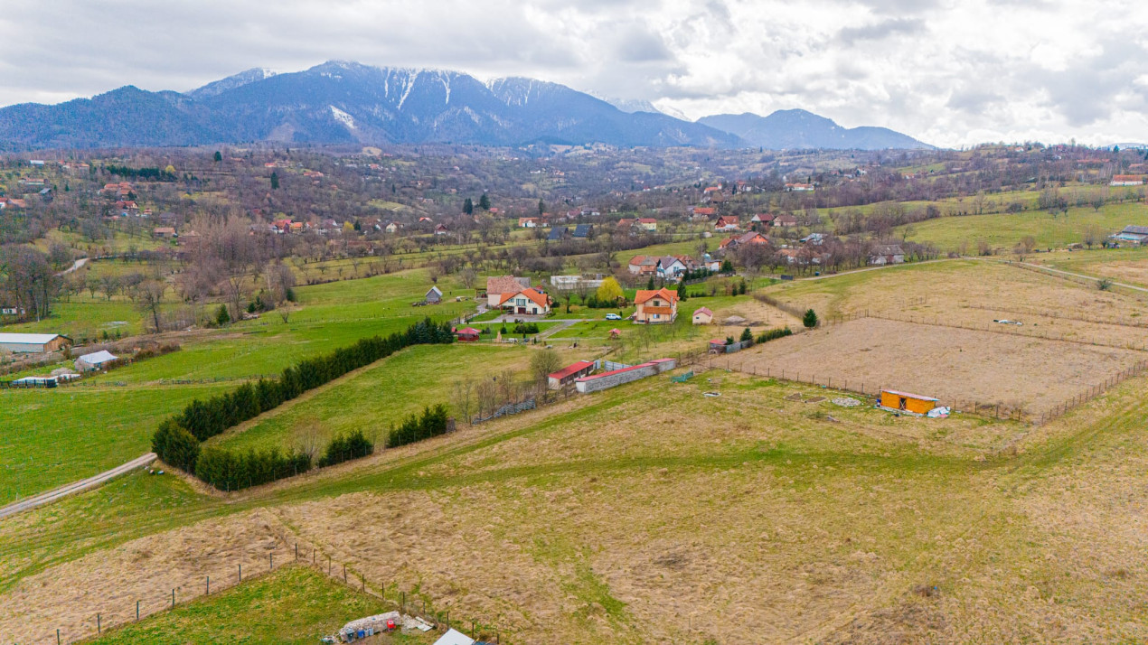 Teren Intravilan, zona turistica - Bran, Tohanu Nou, Sohodol