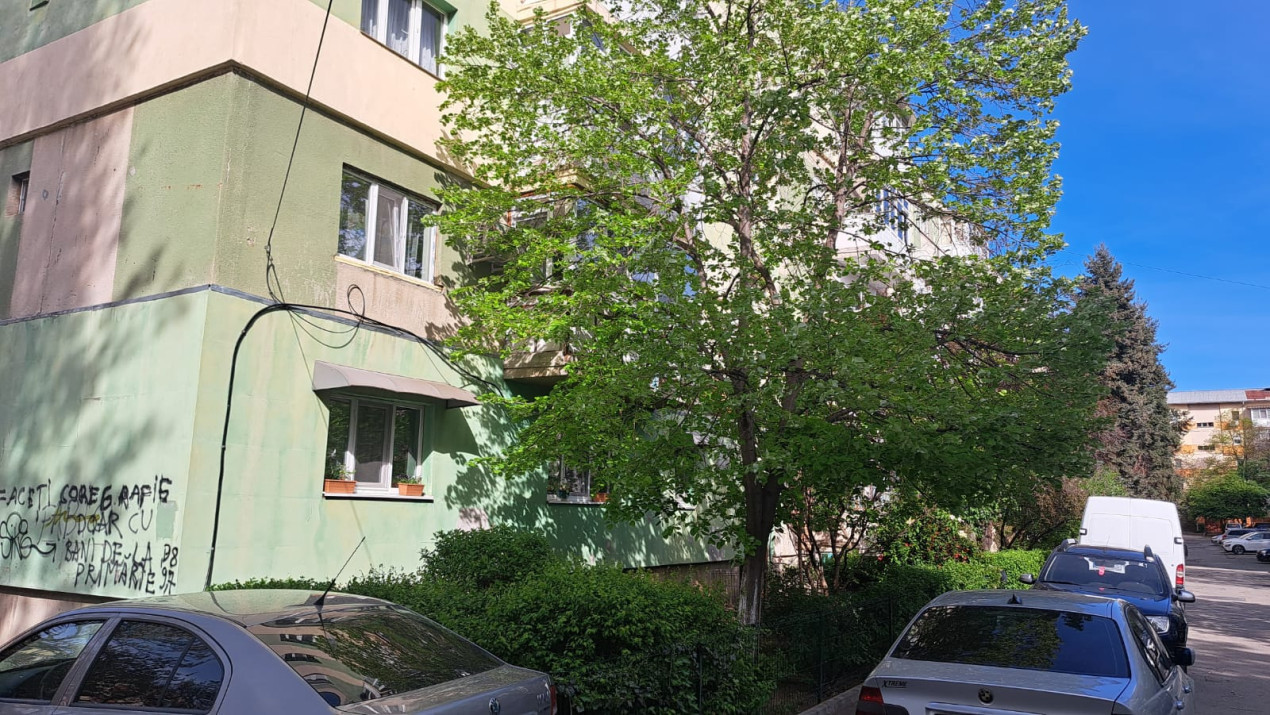 Apartament 2 camere, semidecomandat, Rovine