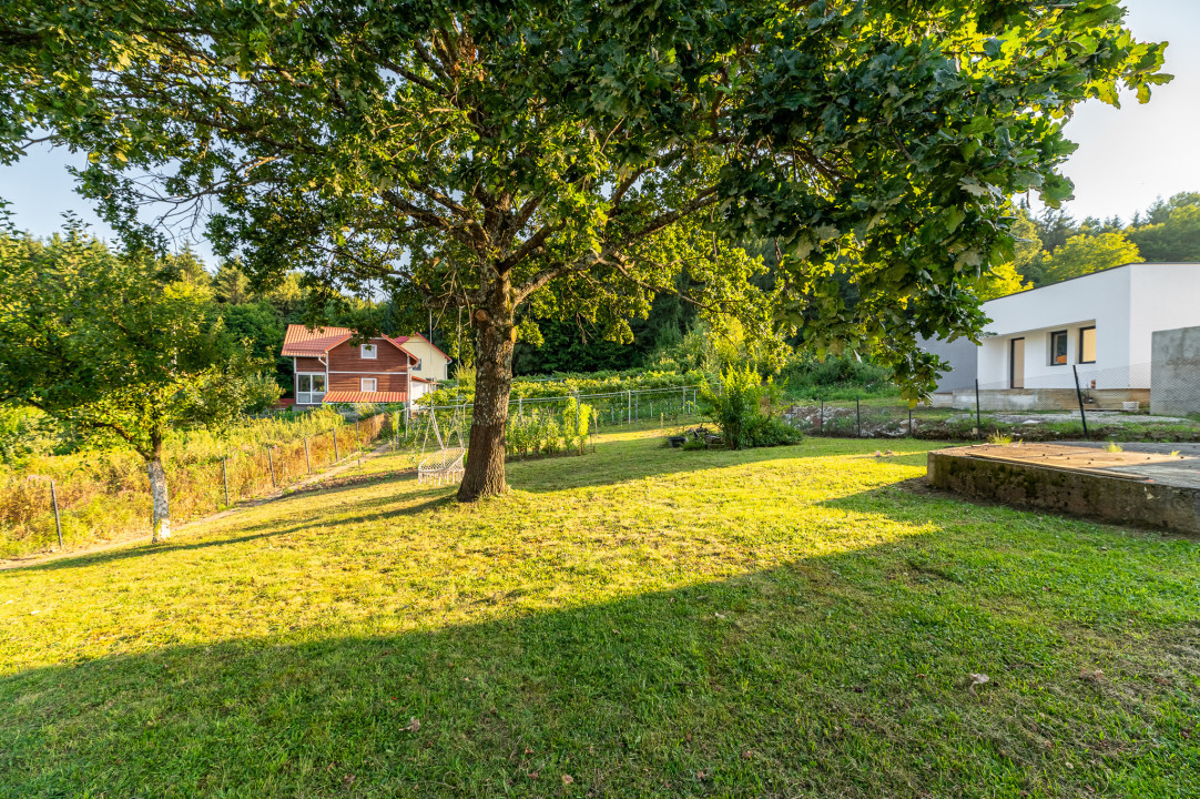 Cabană / casă de vacanță superba de vânzare în Tocile - 1200 MP teren