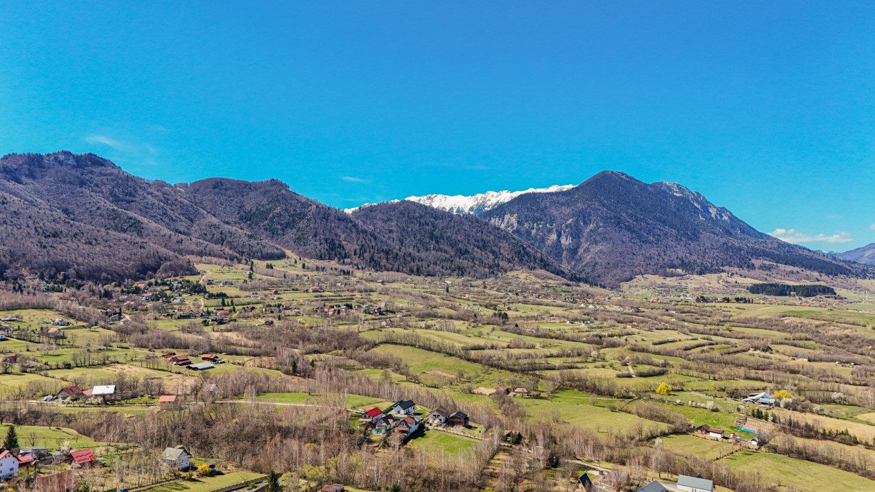 Vanzare teren intravilan 37723 mp Zarnesti Tohanita