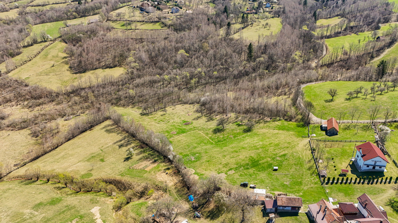 Vanzare teren intravilan 37723 mp Zarnesti Tohanita