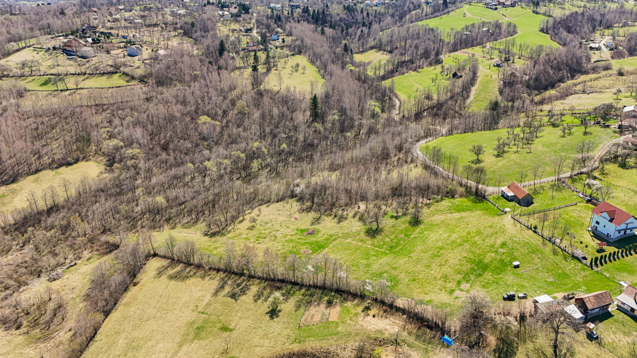 Vanzare teren intravilan 37723 mp Zarnesti Tohanita