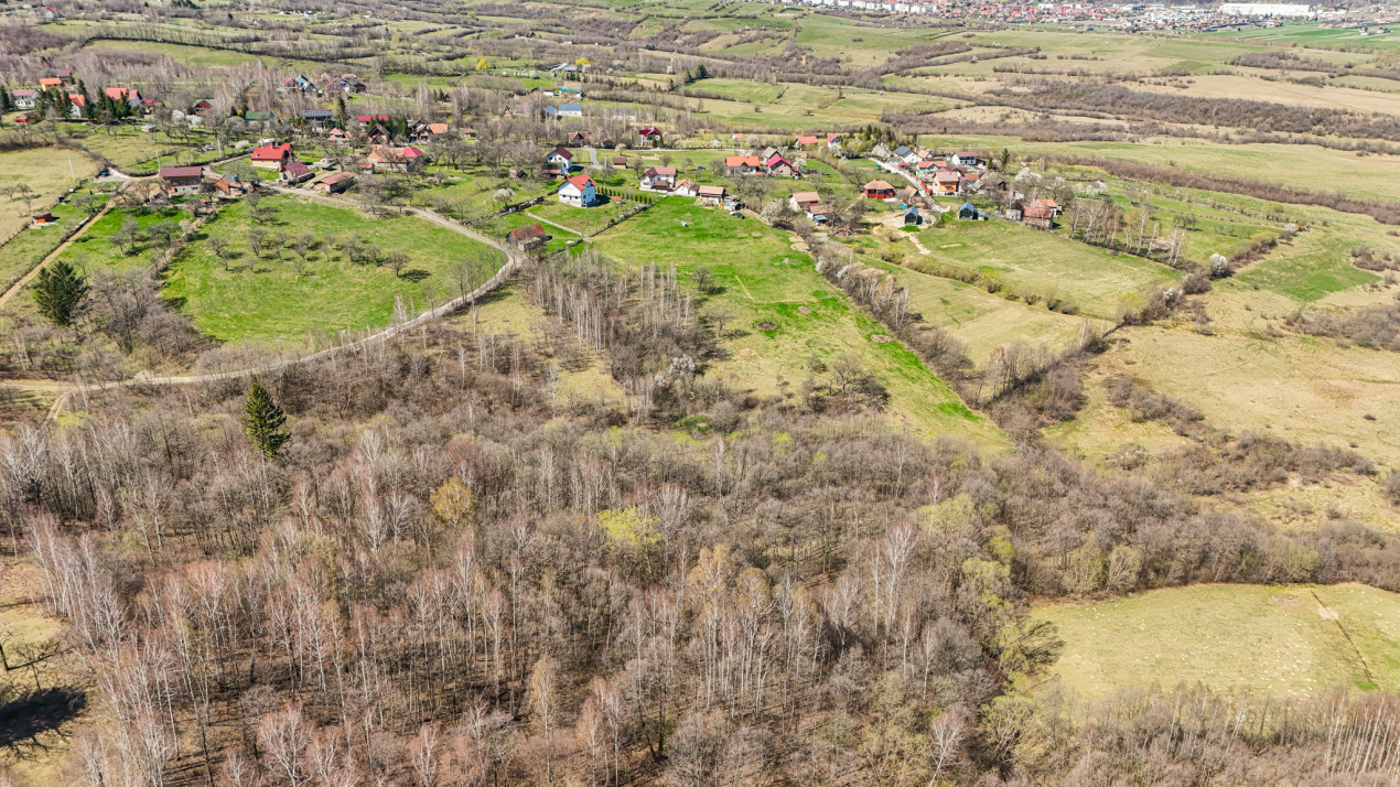 Vanzare teren intravilan 37723 mp Zarnesti Tohanita