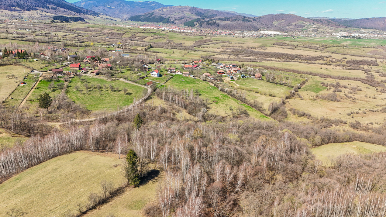 Vanzare teren intravilan 37723 mp Zarnesti Tohanita