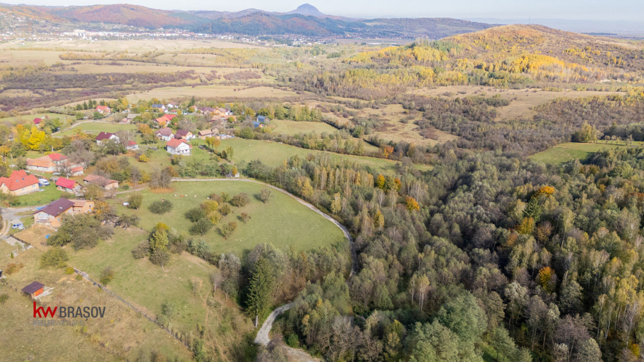 Vanzare teren intravilan 37723 mp Zarnesti Tohanita