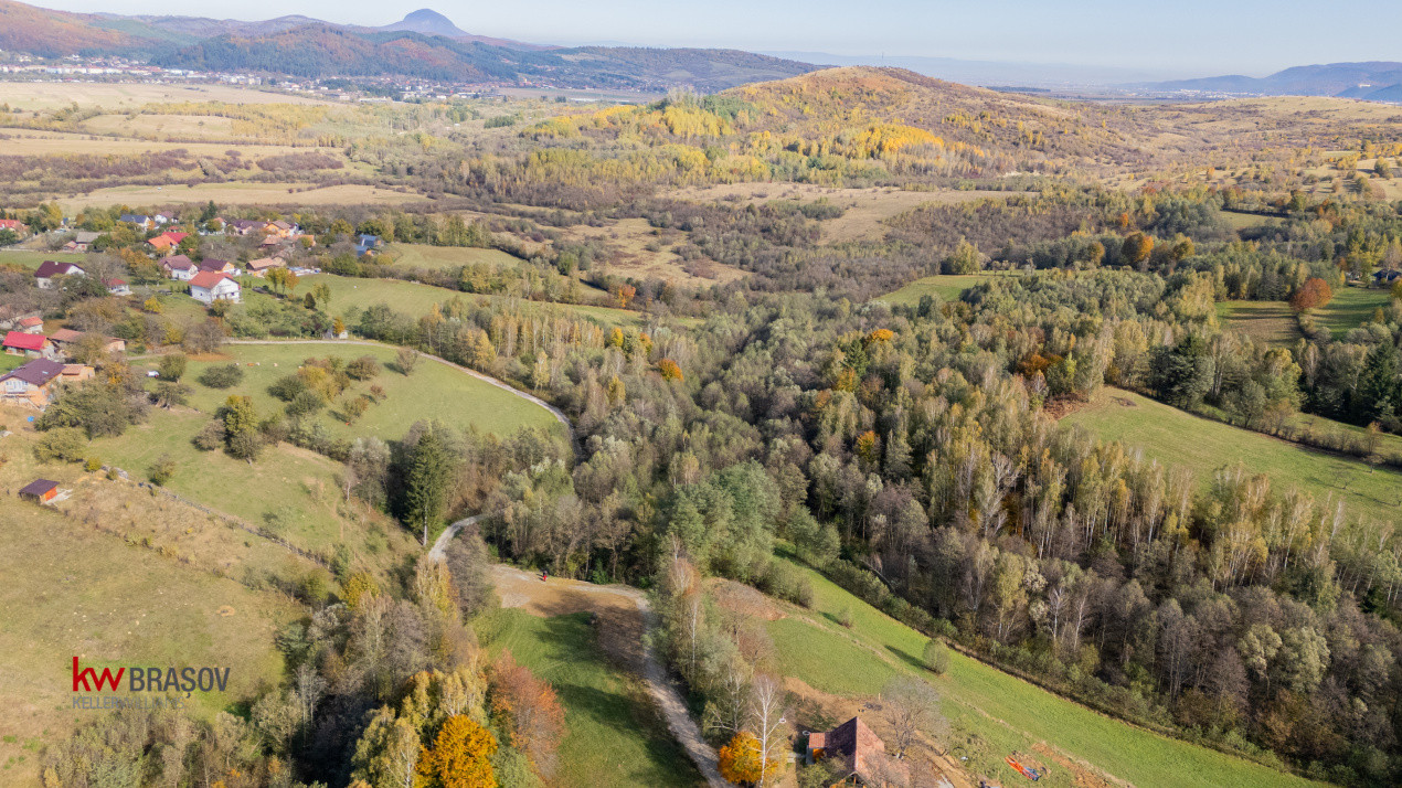 Vanzare teren intravilan 37723 mp Zarnesti Tohanita
