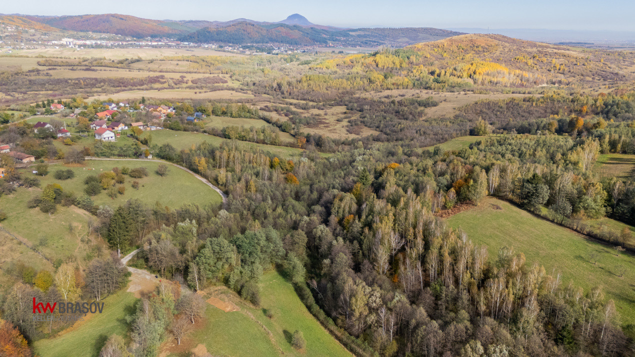 Vanzare teren intravilan 37723 mp Zarnesti Tohanita