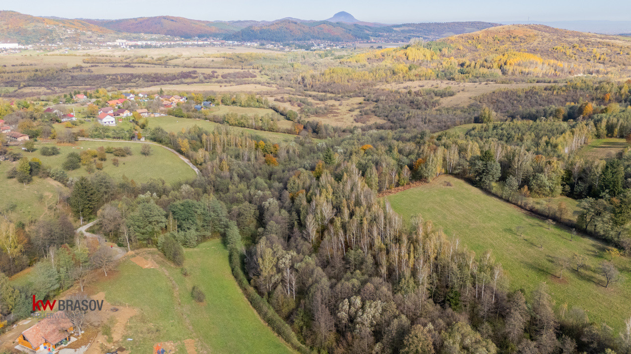 Vanzare teren intravilan 37723 mp Zarnesti Tohanita