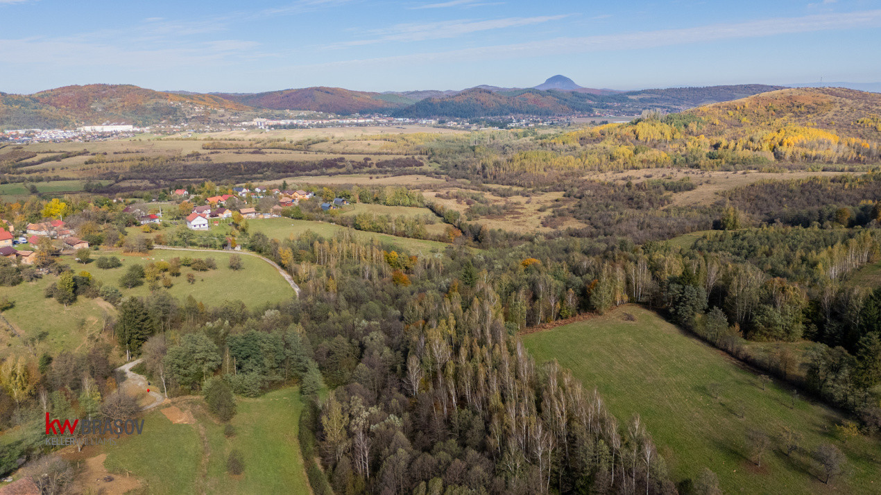 Vanzare teren intravilan 37723 mp Zarnesti Tohanita