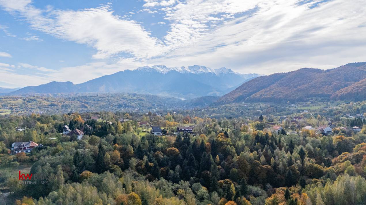 Vanzare teren intravilan 37723 mp Zarnesti Tohanita