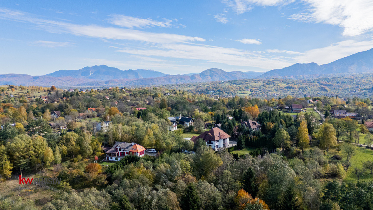 Vanzare teren intravilan 37723 mp Zarnesti Tohanita