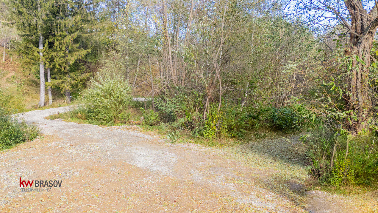 Vanzare teren intravilan 37723 mp Zarnesti Tohanita