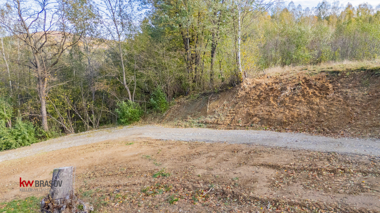 Vanzare teren intravilan 37723 mp Zarnesti Tohanita