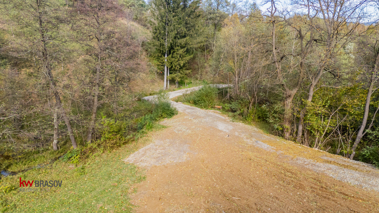 Vanzare teren intravilan 37723 mp Zarnesti Tohanita