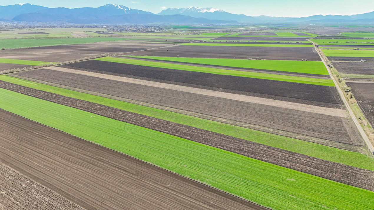 Vanzare teren extravilan agricol Halchiu 15000mp