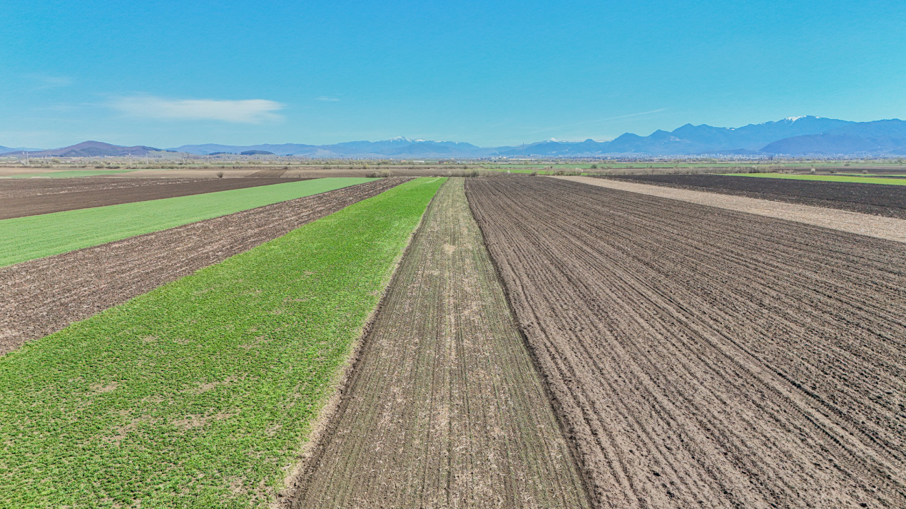 Vanzare teren extravilan agricol Halchiu 15000mp