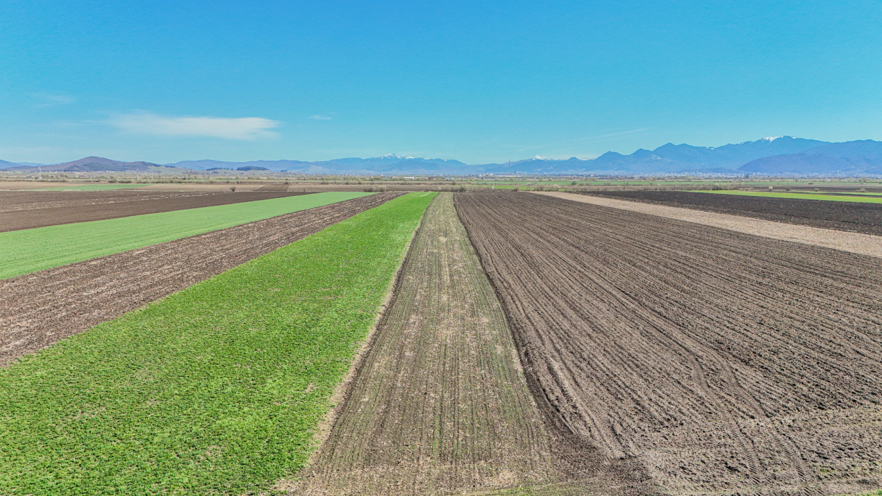 Vanzare teren extravilan agricol Halchiu 15000mp