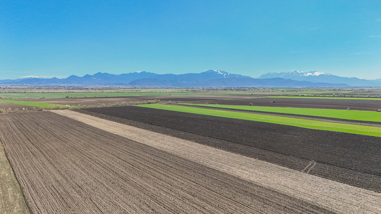 Vanzare teren extravilan agricol Halchiu 15000mp