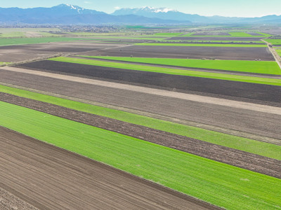 Vanzare teren extravilan agricol Halchiu 15000mp