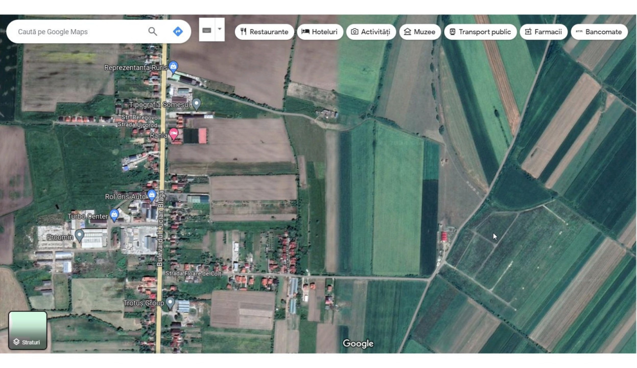 Locuri de casă pe strada Floare de Colț, zona Lucian Blaga, Satu Mare