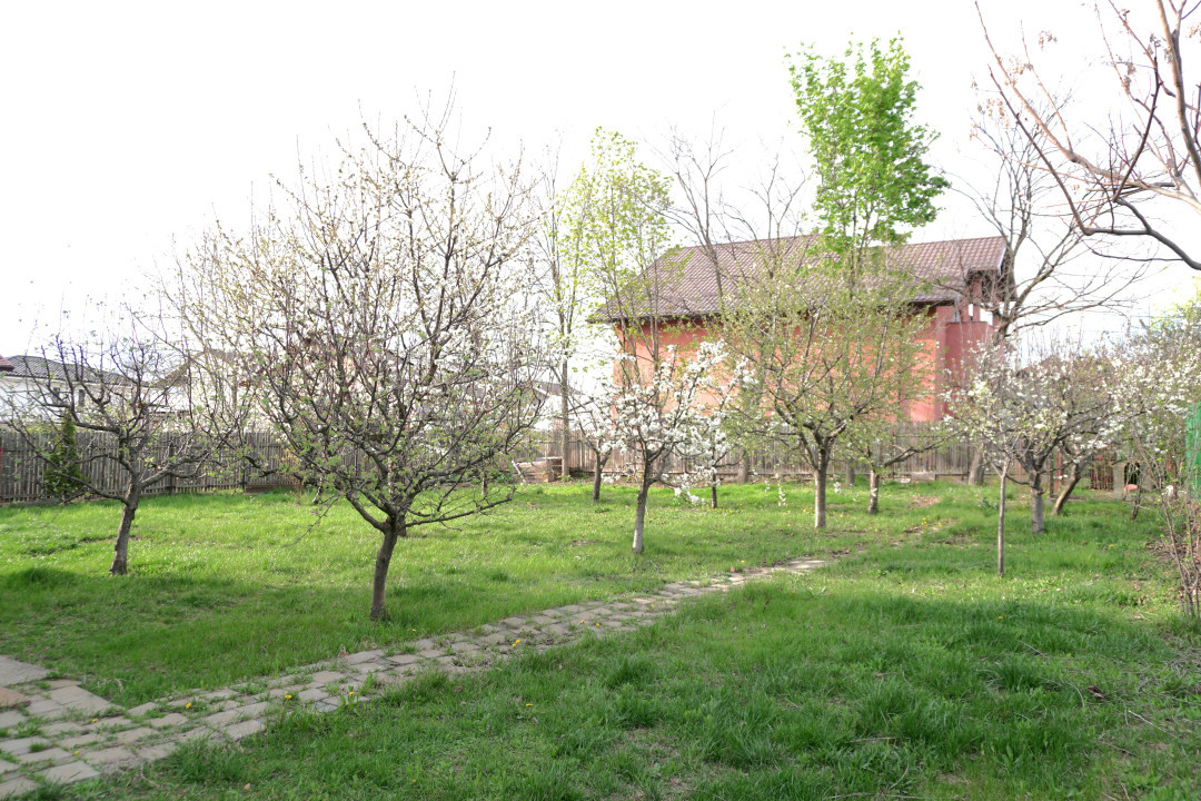 VILA Valea Lupului, 271mp, 960 mp teren- COMISION 0%